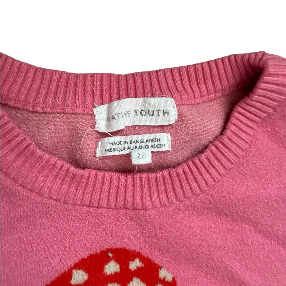 Native Youth Pink and Red Mushroom Sweater Plus Size 22W (26UK) - Picture 5 of 7
